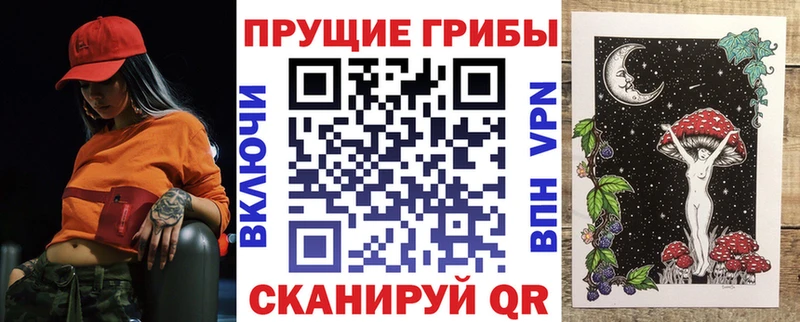 купить   shop формула  Псилоцибиновые грибы прущие грибы  Константиновск 